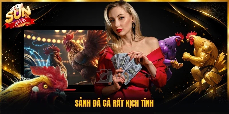 Sảnh đá gà rất kịch tính